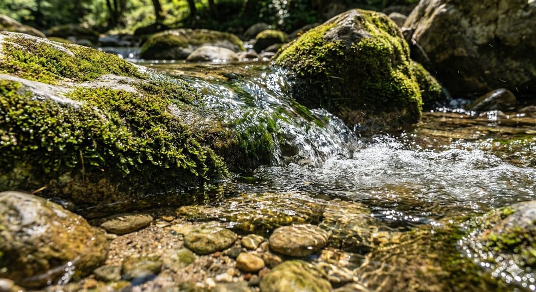 Nahaufnahme von kristallklarem Bergwasser, das über moosbedeckte Steine fließt, mit sichtbaren Kieselsteinen am Grund und Lichtreflexionen auf der Wasseroberfläche