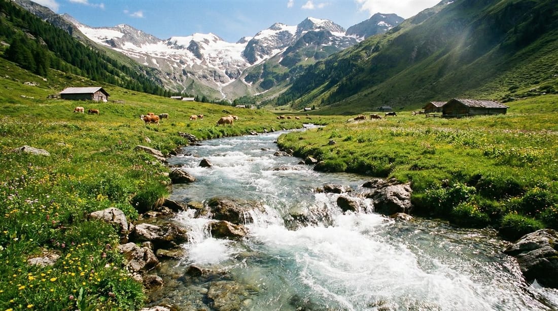 Weitwinkelaufnahme eines kristallklaren Gebirgsbachs in Tirol mit schnell fließendem Wasser, umgeben von grünen Almwiesen und schneebedeckten Berggipfeln im Hintergrund